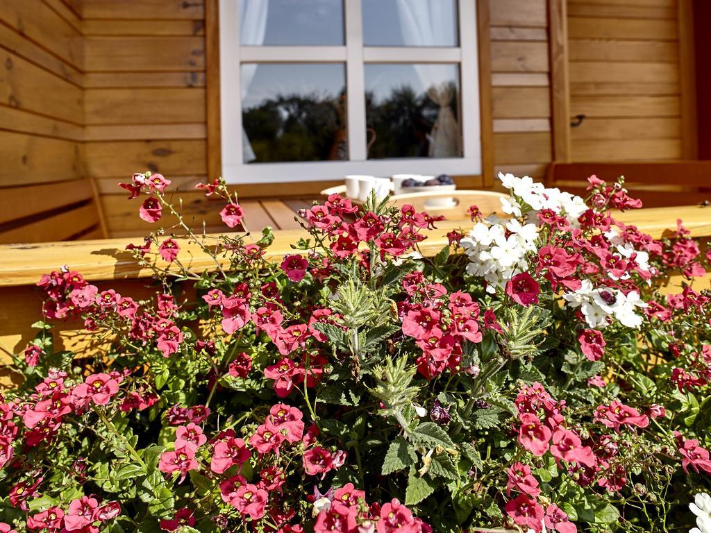 Holiday Homes Vita Natura Rakovica Esterno foto